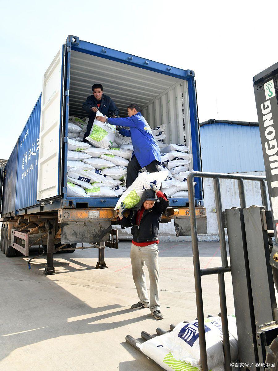 零報酬下的雙重負擔 司機兼任裝卸工現象的隱憂